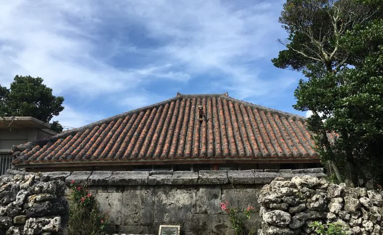 アクティビティ