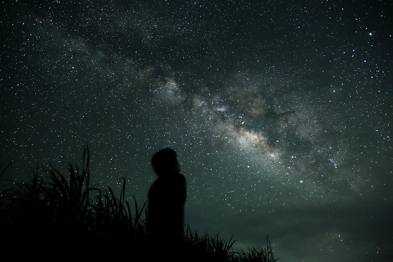 アクティビティ