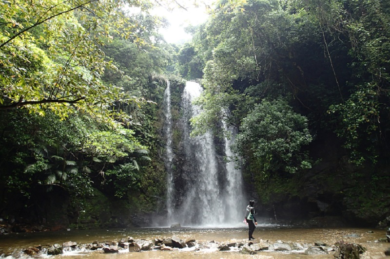 アクティビティ