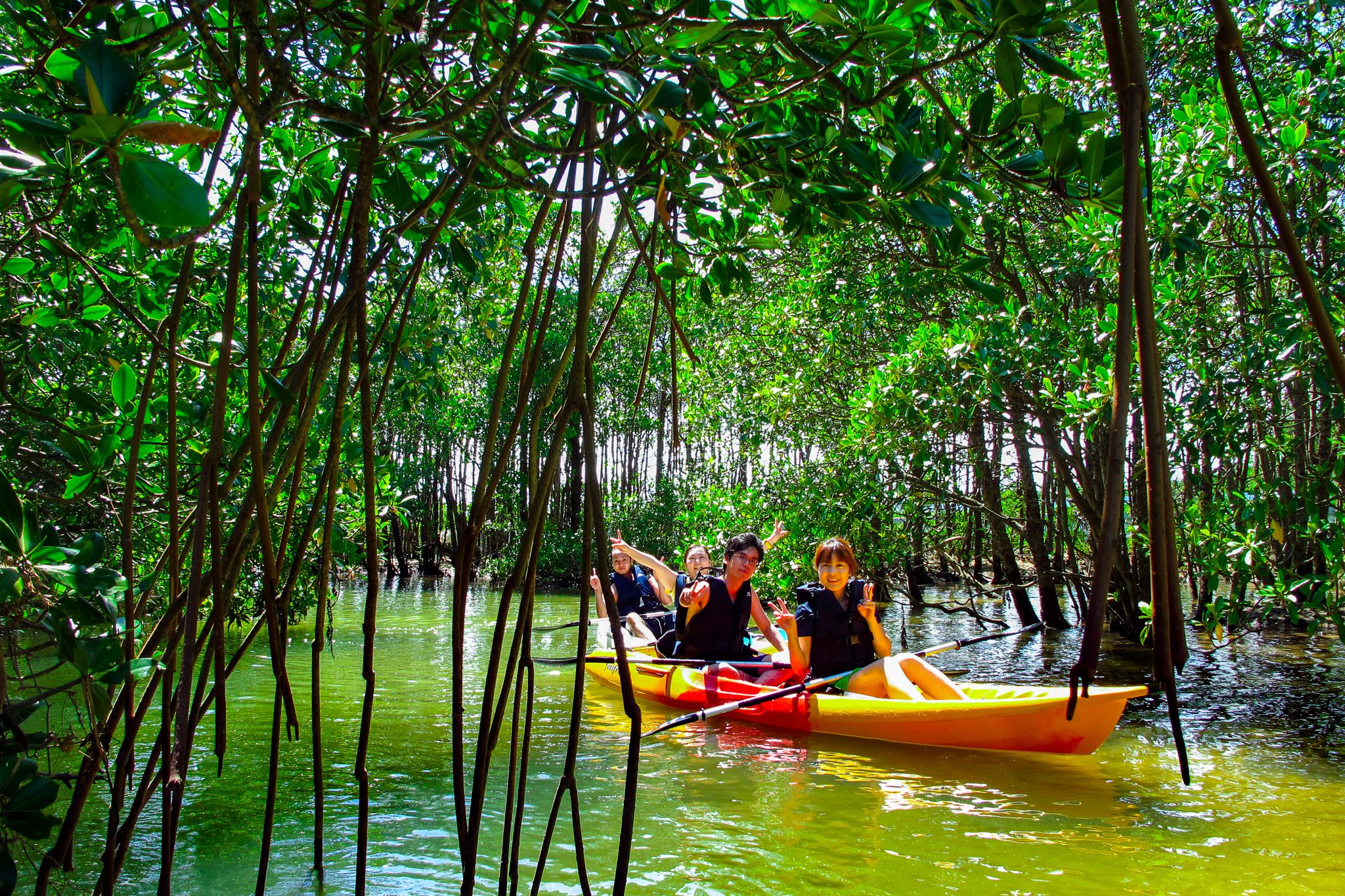 アクティビティ