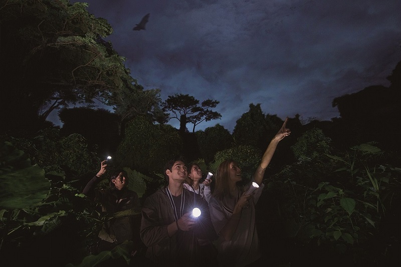 アクティビティ