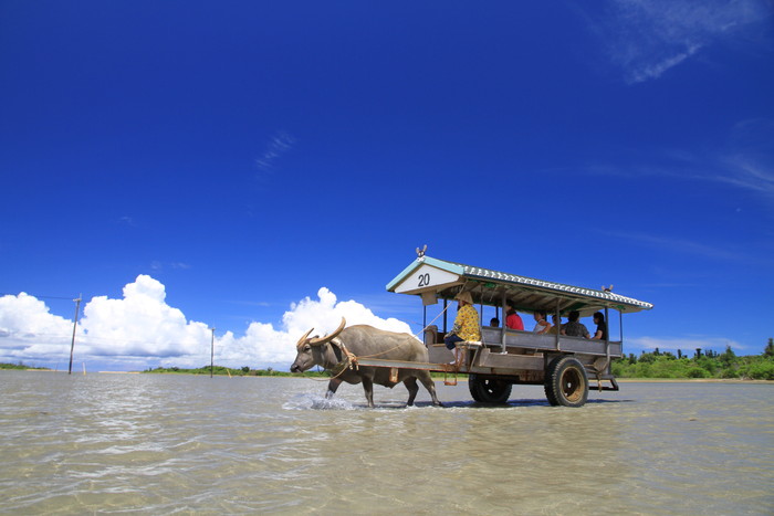 アクティビティ