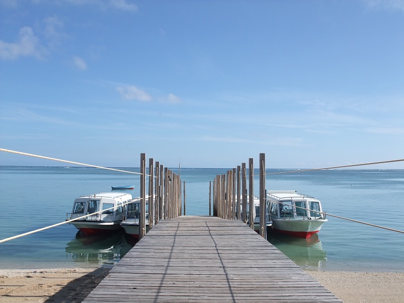 アクティビティ