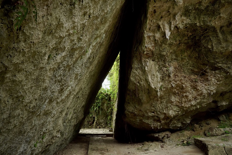 アクティビティ