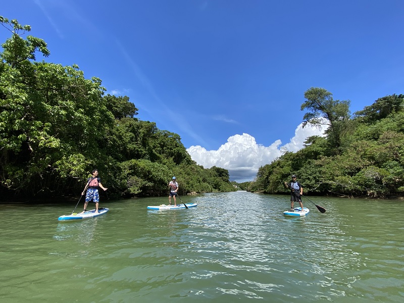 アクティビティ