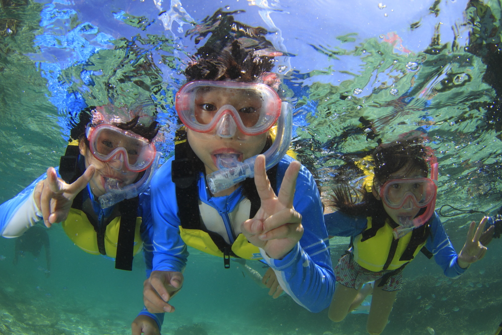 アクティビティ