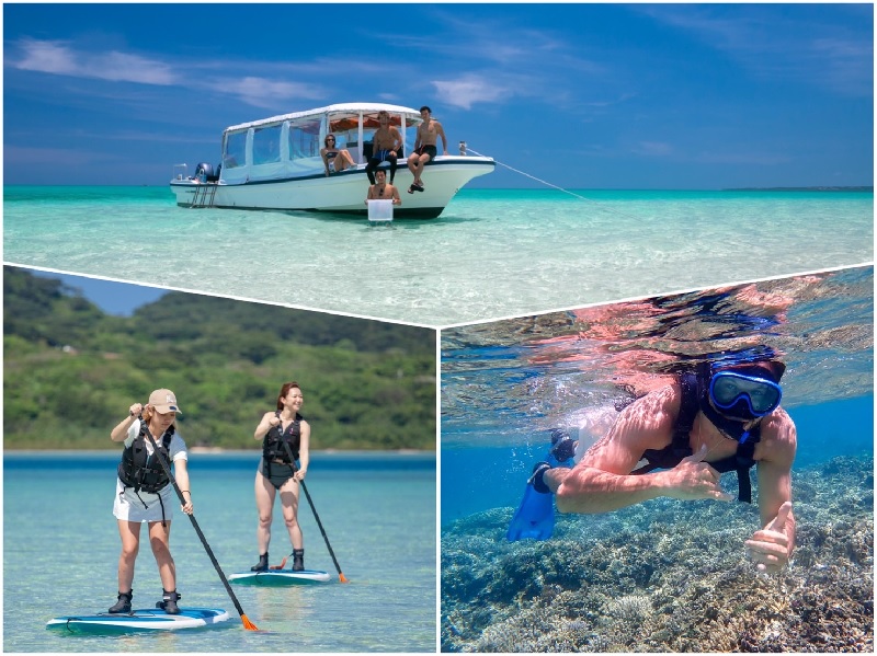 アクティビティ