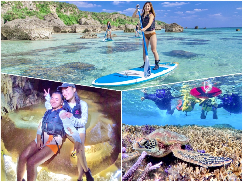 アクティビティ