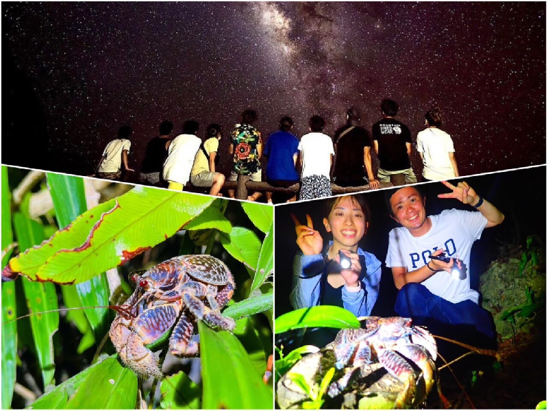 アクティビティ