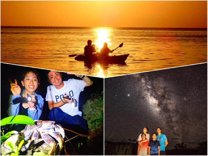 アクティビティ