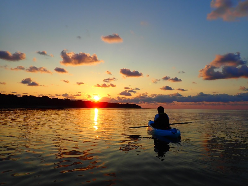 アクティビティ