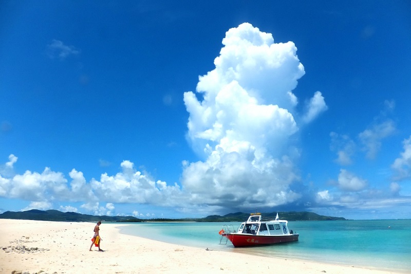 アクティビティ