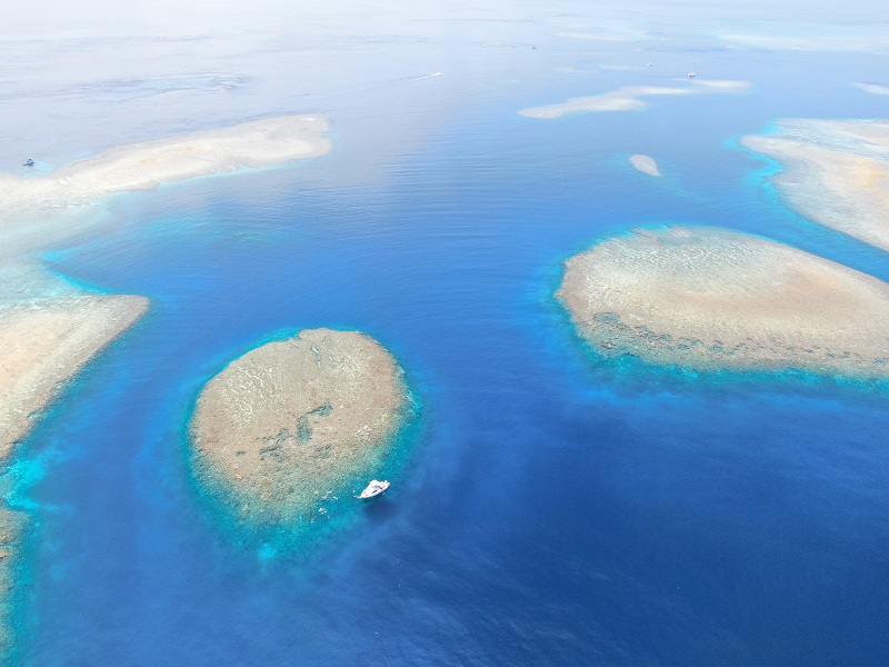 アクティビティ