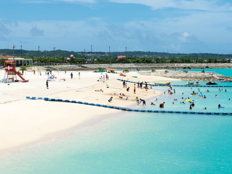 アクティビティ