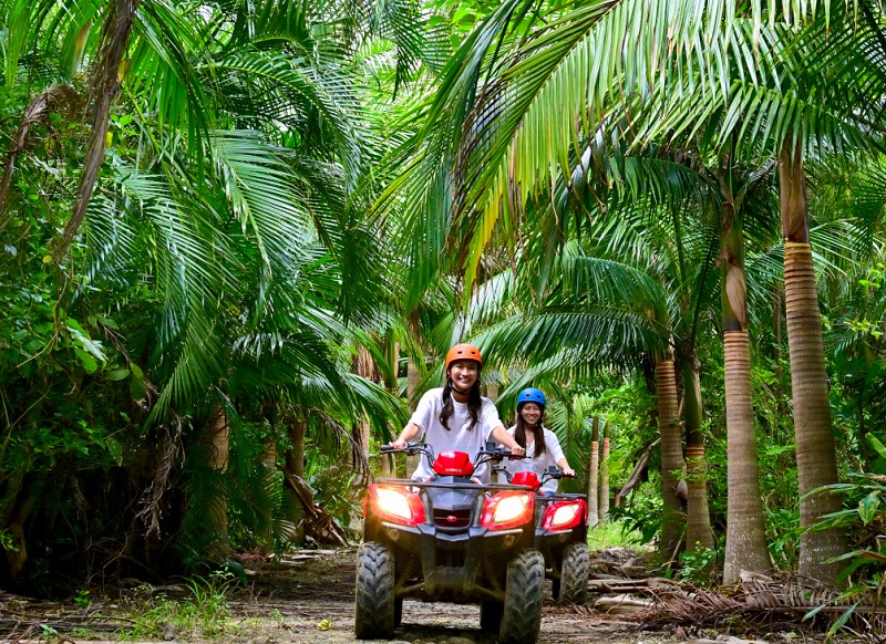 アクティビティ