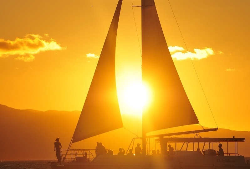 アクティビティ