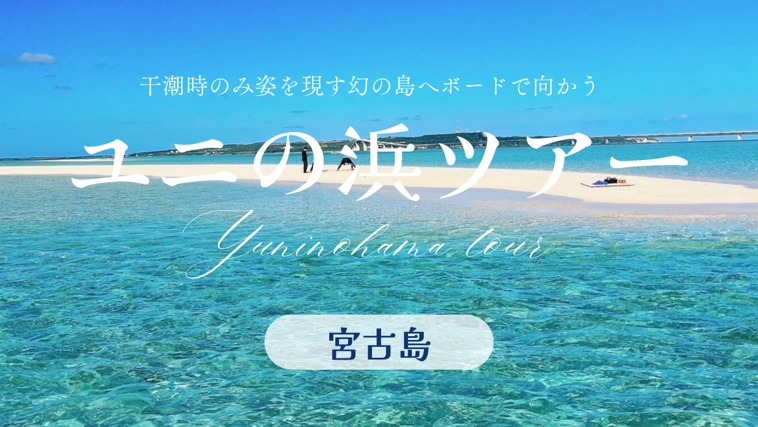 アクティビティ