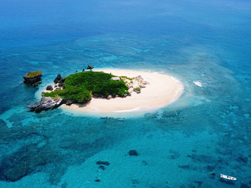 アクティビティ