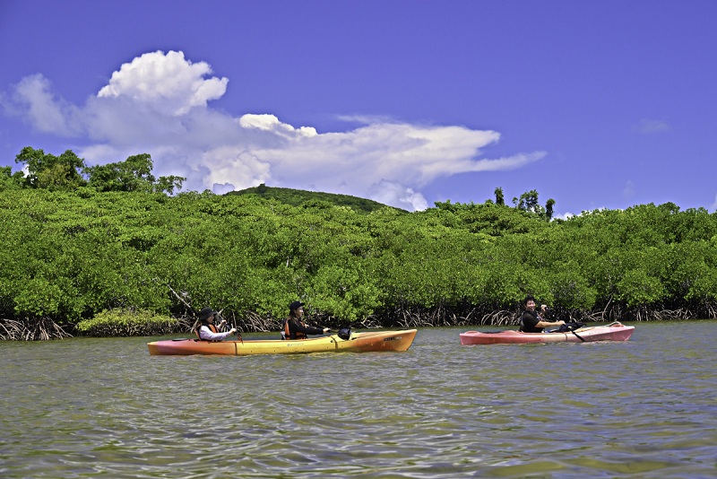 アクティビティ