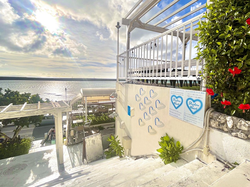 アクティビティ