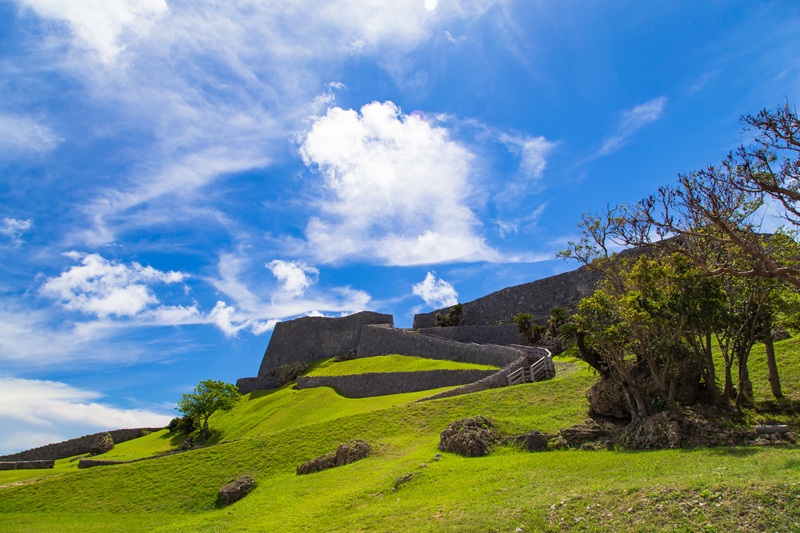 アクティビティ