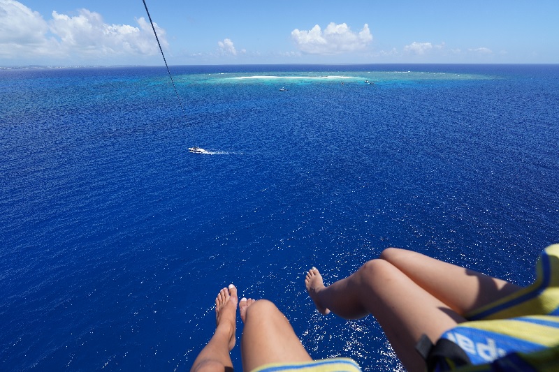 アクティビティ