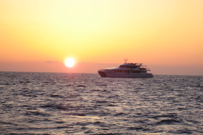 アクティビティ