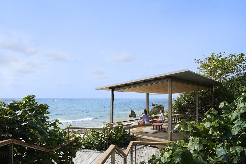 アクティビティ