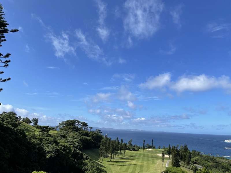 アクティビティ