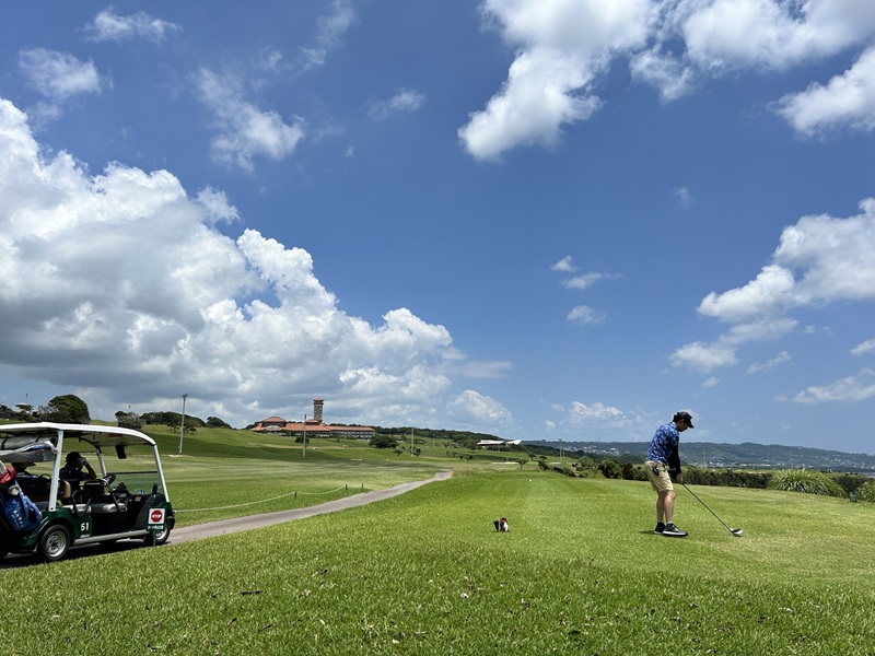 アクティビティ