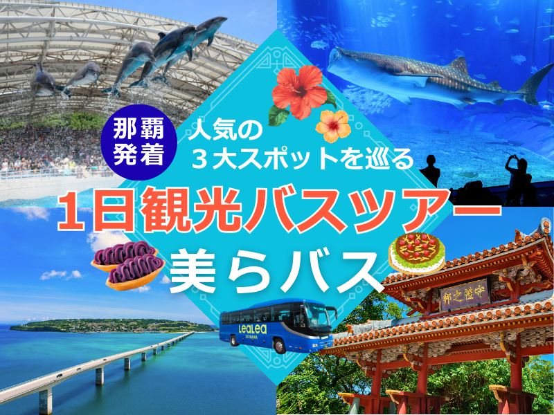 アクティビティ