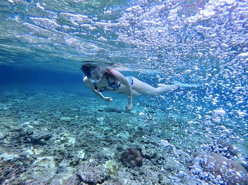 アクティビティ