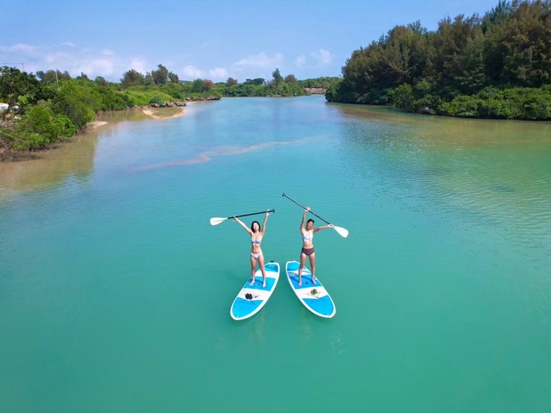 アクティビティ