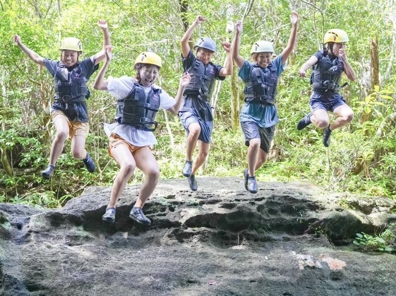 アクティビティ