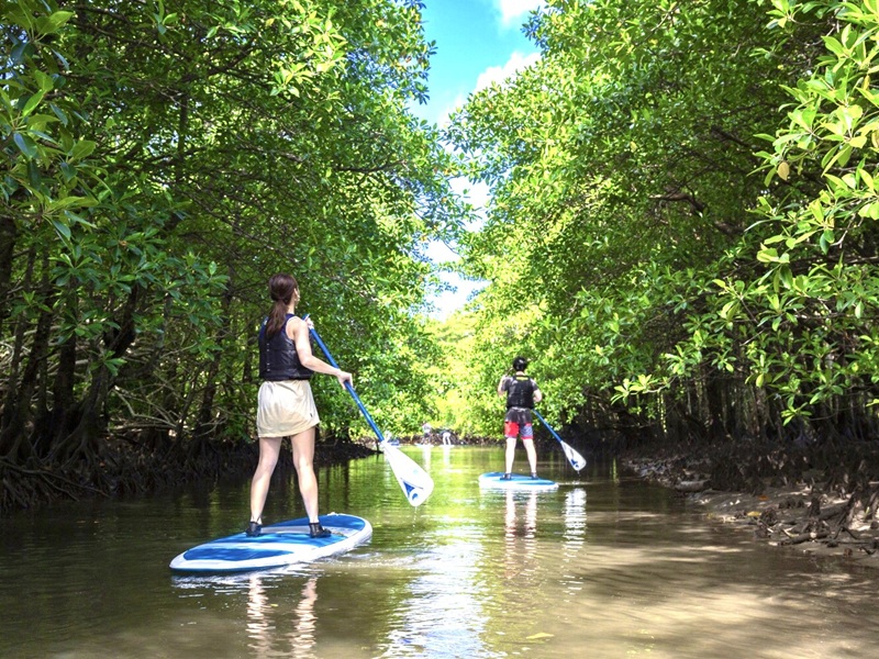 アクティビティ