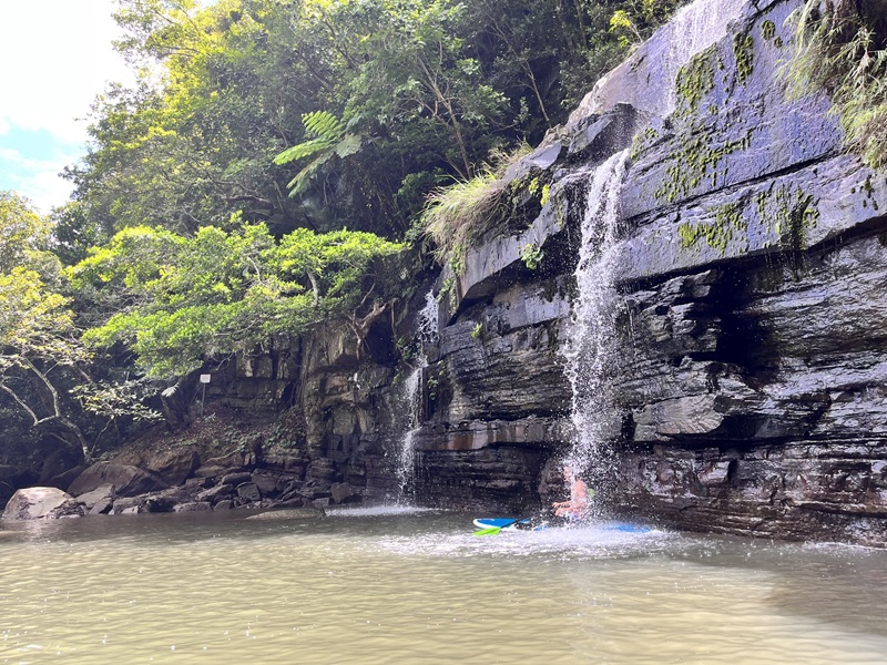 アクティビティ