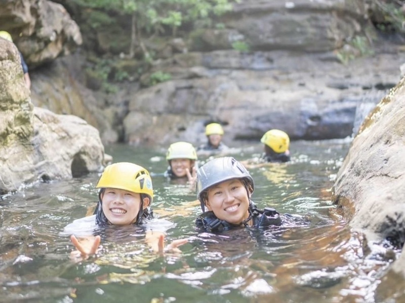 アクティビティ