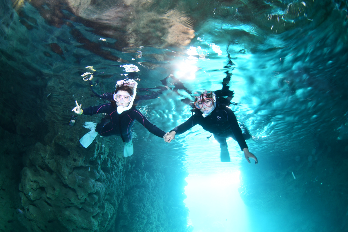 アクティビティ