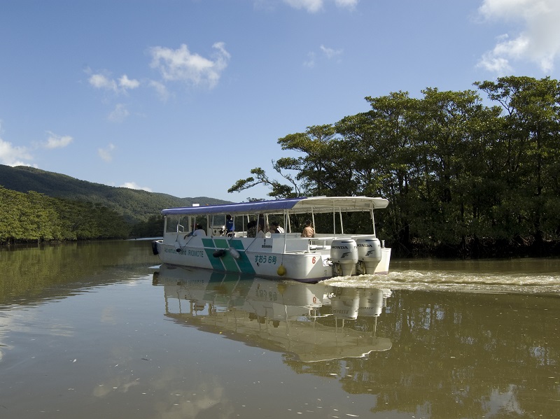 アクティビティ