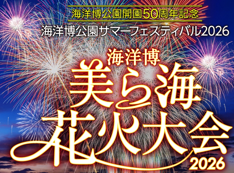 アクティビティ