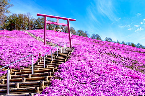 北海道旅行