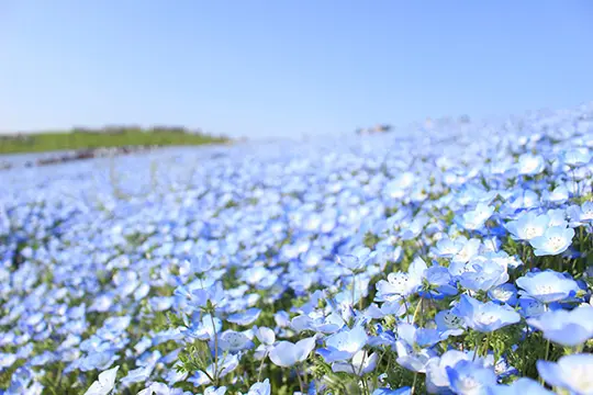 関東旅行