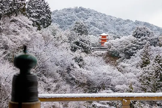 京都旅行