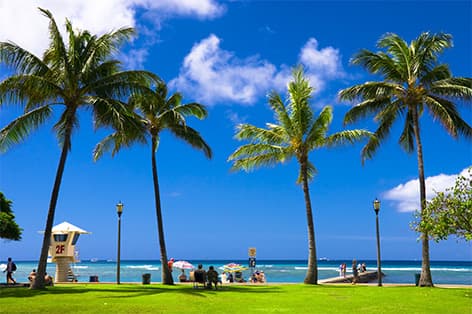 今年の春休みは常夏のハワイで