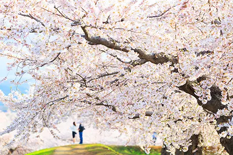4月の北海道旅行