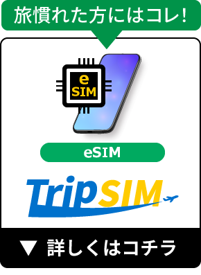 旅慣れた方にはコレ！eSIM Trip SIM 詳しくはコチラ
