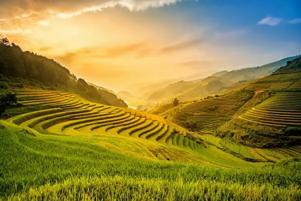 ライステラス（棚田）を眺めながら