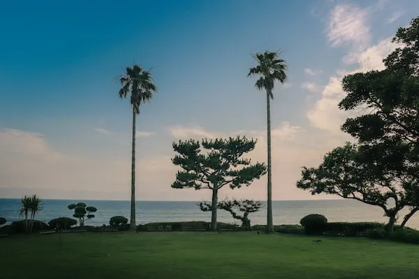 ゴルフを楽しむ