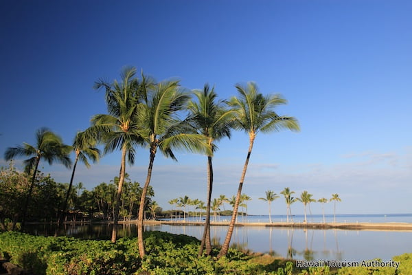 クウアリ・フィッシュポンド