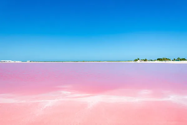 リオ・ラガルトス